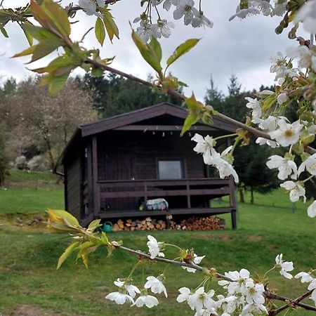 Chata Na Samote, Sumava Vrhavec Extérieur photo