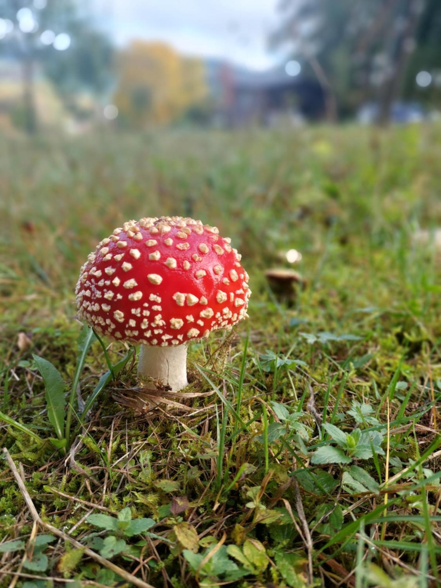 Chata Na Samote, Sumava Vrhavec Extérieur photo
