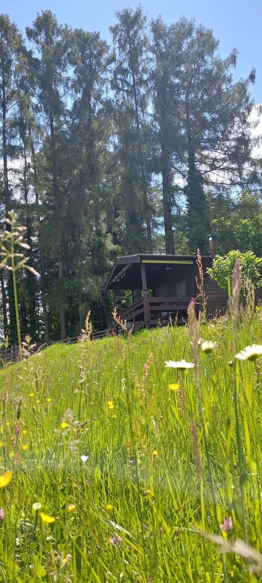 Chata Na Samote, Sumava Vrhavec Extérieur photo