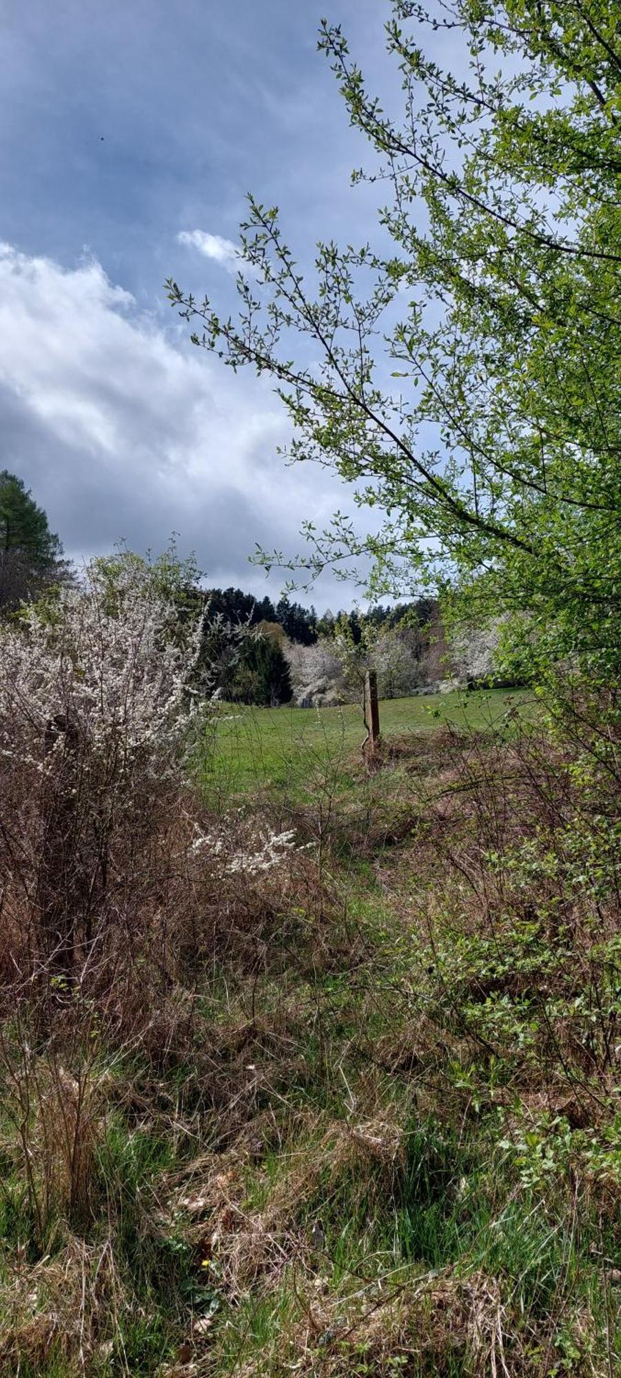 Chata Na Samote, Sumava Vrhavec Extérieur photo