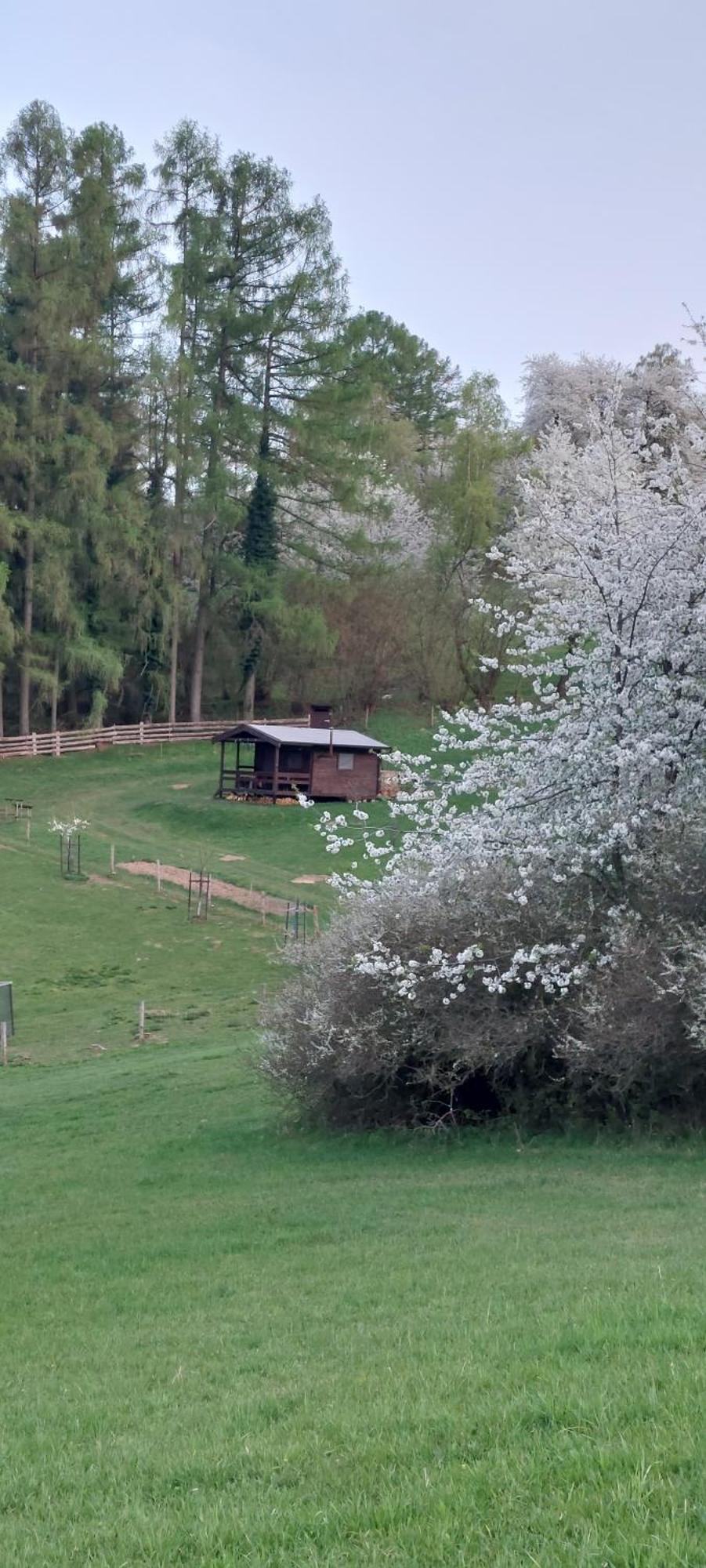 Chata Na Samote, Sumava Vrhavec Extérieur photo