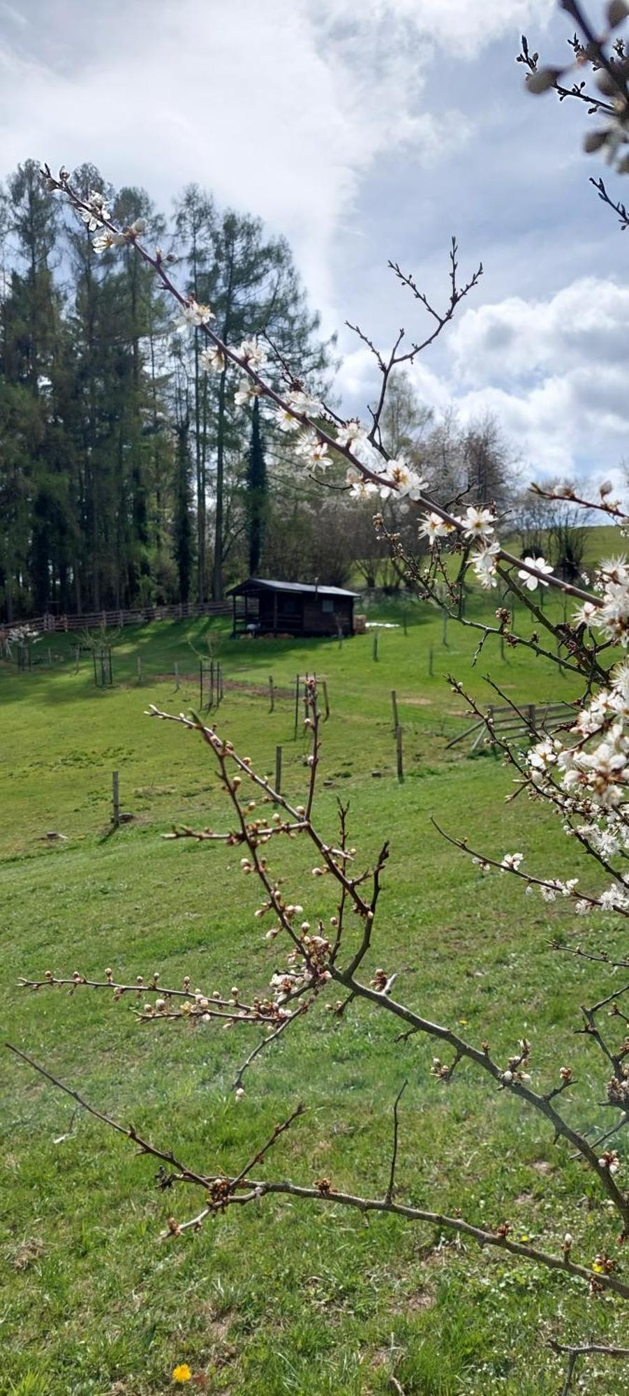 Chata Na Samote, Sumava Vrhavec Extérieur photo