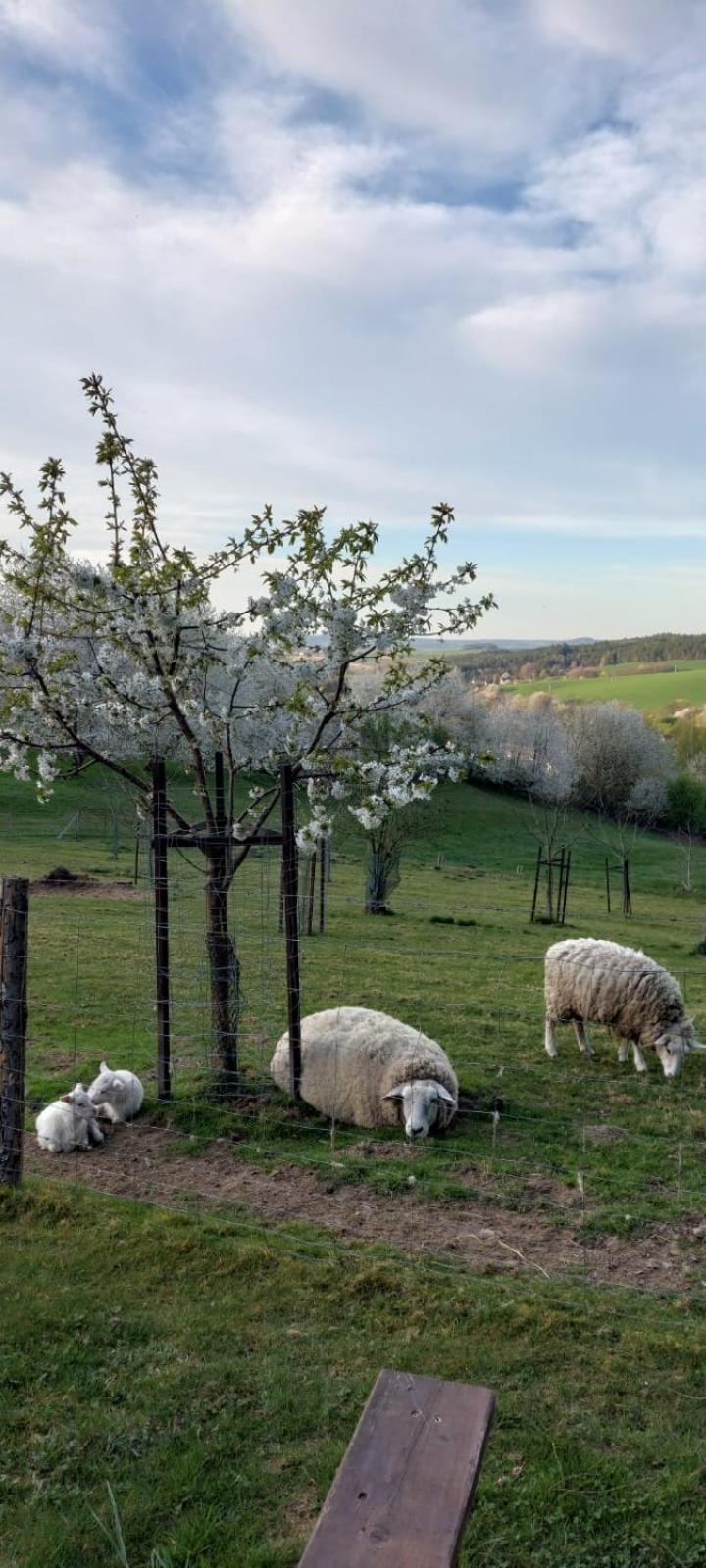 Chata Na Samote, Sumava Vrhavec Extérieur photo
